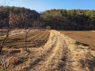 노고단님의 자유주제 · 자유게시판 작성글 사진