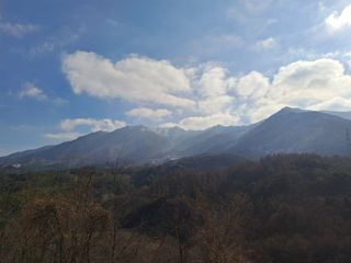 울금박사/빈덕열목사님의 자유주제 · 자유게시판 작성글 사진