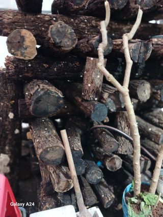 강성흔목사 님의 자유주제 · 자유게시판 작성글 사진