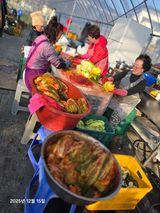 팜모닝 자유주제·자유게시판 게시글 이미지