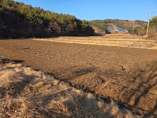 노고단님의 자유주제 · 자유게시판 작성글 사진