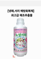 팜모닝 · 게시글 이미지