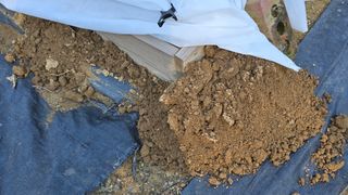 작은꽃밭님의 자유주제 · 자유게시판 작성글 사진