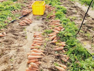 한경훈님의 자유주제 · 자유게시판 작성글 사진