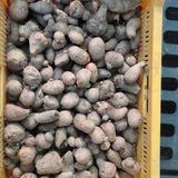 팜모닝 자유주제·자유게시판 게시글 이미지