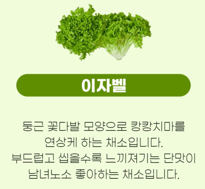 스피드번님의 장터 판매 상품 [유럽채소] 첨부 사진