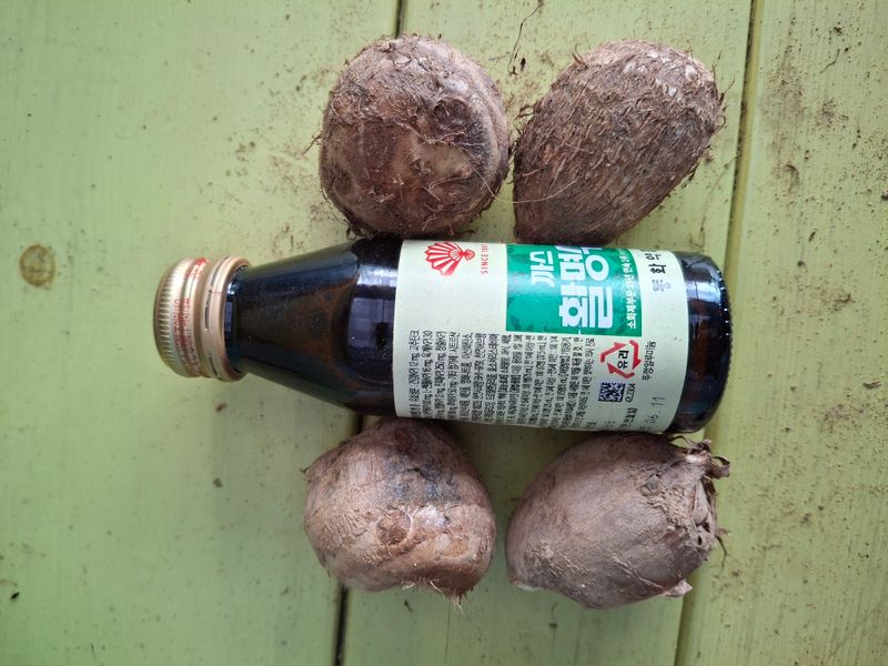 장터 상품 [토란] 썸네일