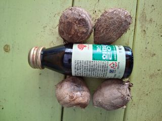 님프의 숲님의 작성글 사진