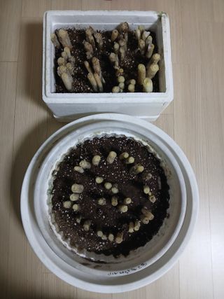 인생은 소풍처럼님의 자유주제 · 자유게시판 작성글 사진