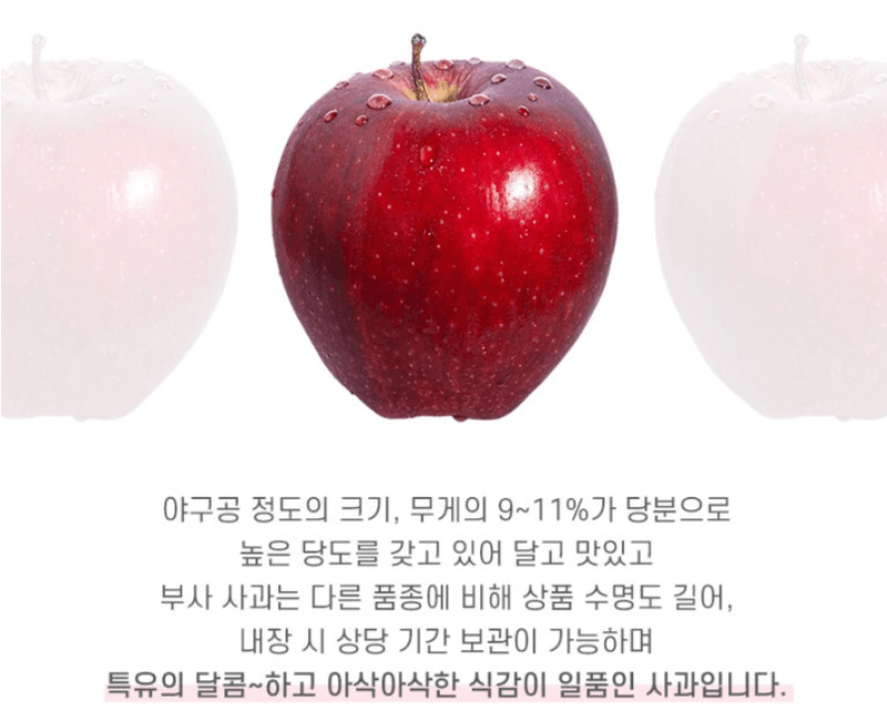 스피드번님의 장터 판매 상품 [부사사과 선물세트] 첨부 사진