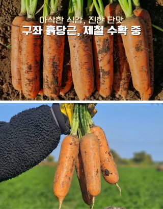 평대돌담농장님의 작성글 사진