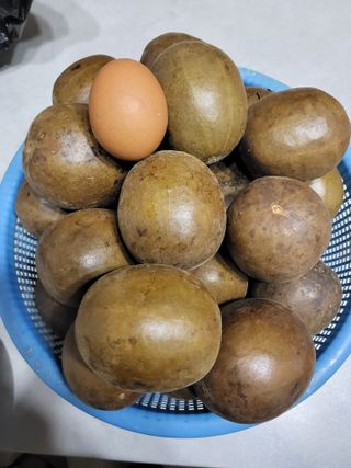 이연화님의 자유주제 · 자유게시판 작성글 사진