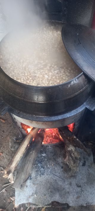 김대현(청솔)님의 자유주제 · 자유게시판 작성글 사진