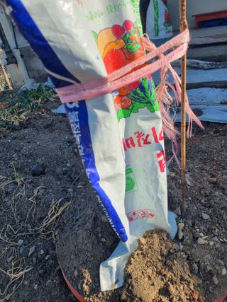 김용대님의 자유주제 · 자유게시판 작성글 사진