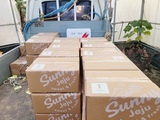 한경훈님의 자유주제 · 자유게시판 작성글 사진