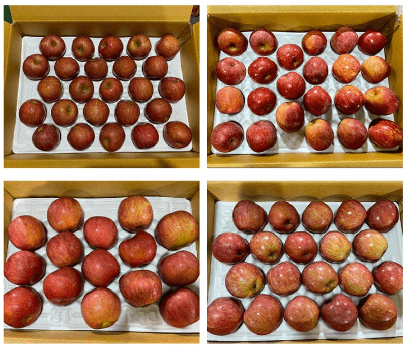 스피드번님의 장터 판매 상품 [부사사과 선물세트] 첨부 사진