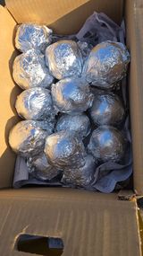 팜모닝 자유주제·자유게시판 게시글 이미지