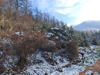 울금박사/빈덕열목사님의 자유주제 · 자유게시판 작성글 사진