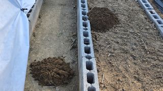 작은꽃밭님의 자유주제 · 자유게시판 작성글 사진