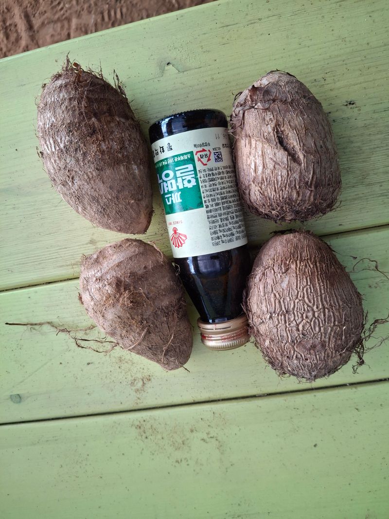 님프의 숲님의 장터 판매 상품 [토란] 첨부 사진