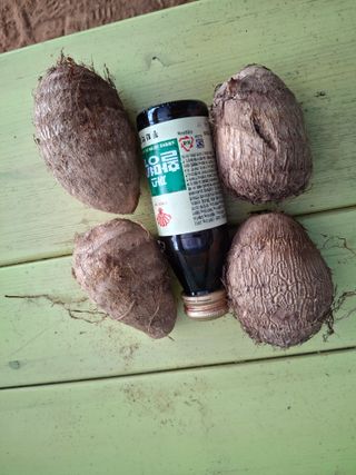 님프의 숲님의 작성글 사진