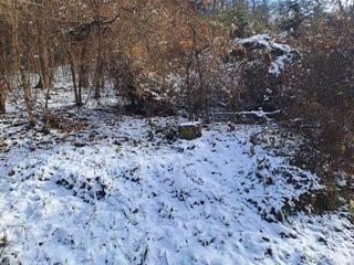 울금박사/빈덕열목사님의 자유주제 · 자유게시판 작성글 사진