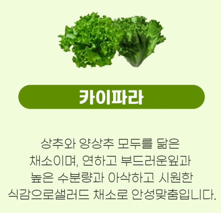 스피드번님의 장터 판매 상품 [유럽채소] 첨부 사진