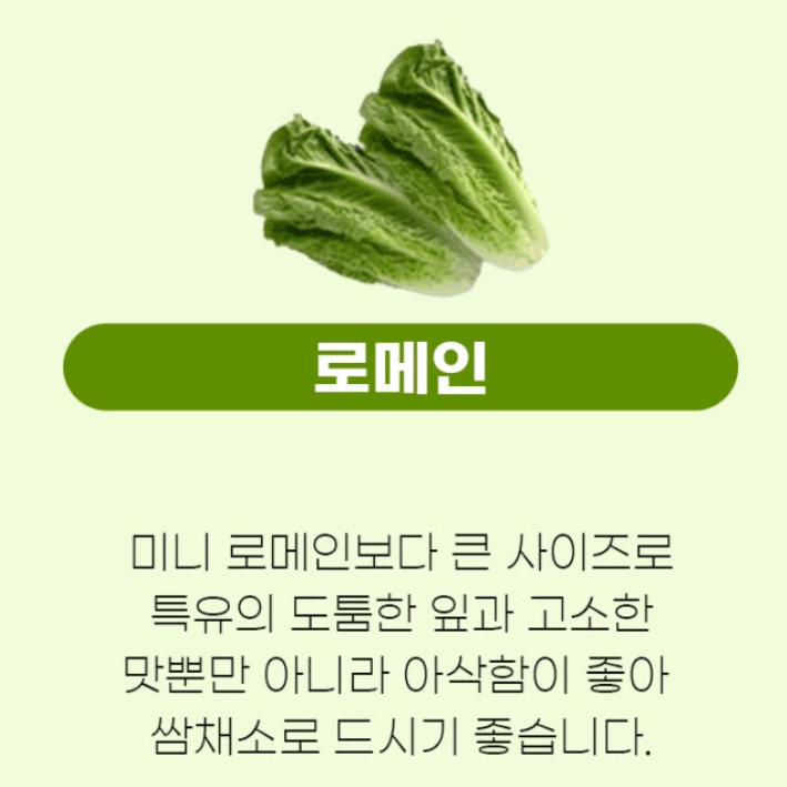스피드번님의 장터 판매 상품 [유럽채소] 첨부 사진