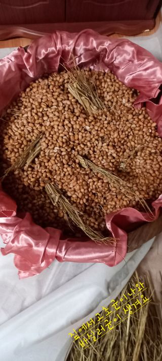 김대현(청솔)님의 자유주제 · 자유게시판 작성글 사진