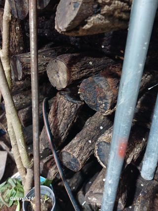 강성흔목사 님의 자유주제 · 자유게시판 작성글 사진