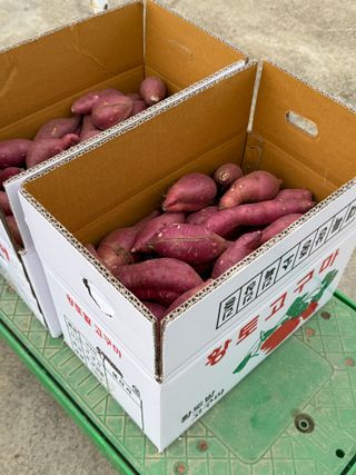 이영민님의 작성글 사진