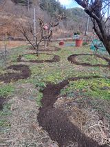 팜모닝 자유주제·자유게시판 게시글 이미지