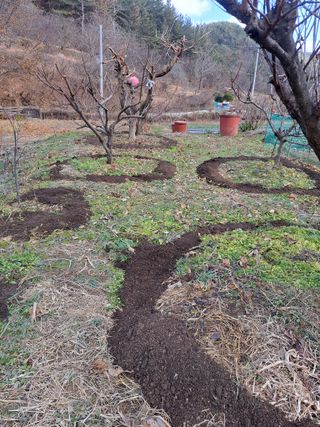 오형태님의 자유주제 · 자유게시판 작성글 사진