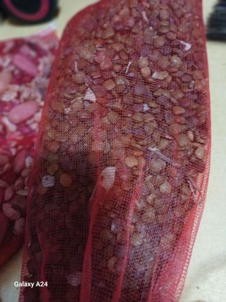 강성흔목사 님의 자유주제 · 자유게시판 작성글 사진