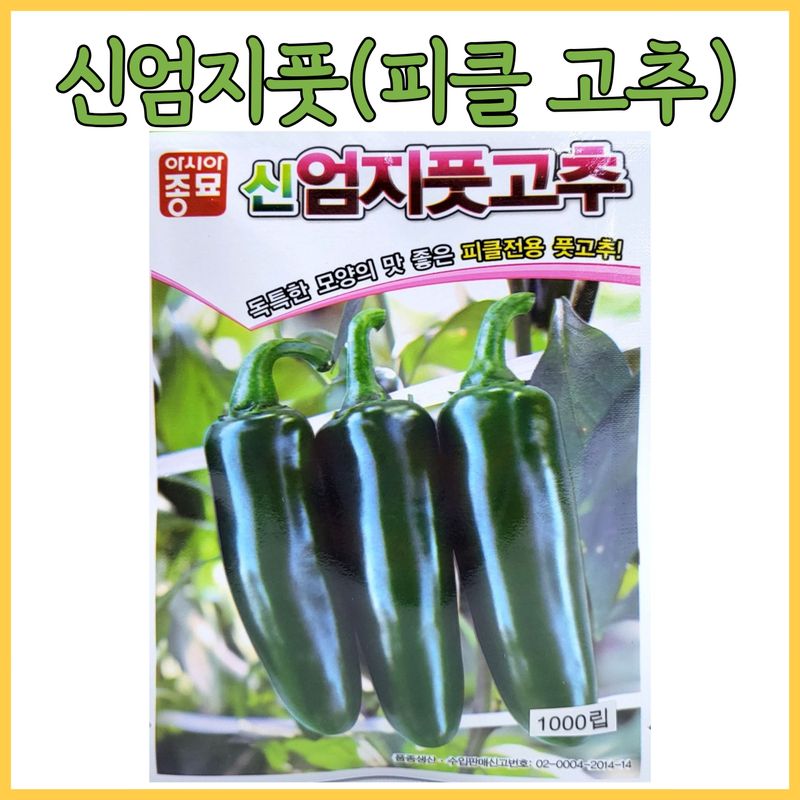 장터 상품 [피클고추 신엄지풋 100립 1000립] 썸네일