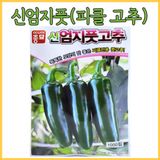 팜모닝 · 게시글 이미지