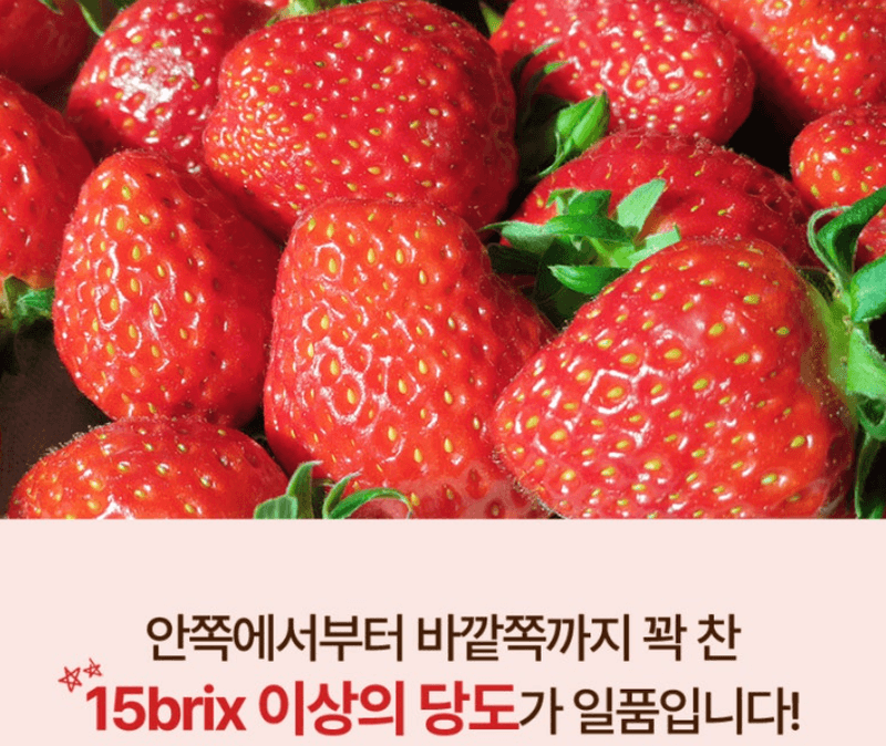 스피드번님의 장터 판매 상품 [설향딸기] 첨부 사진