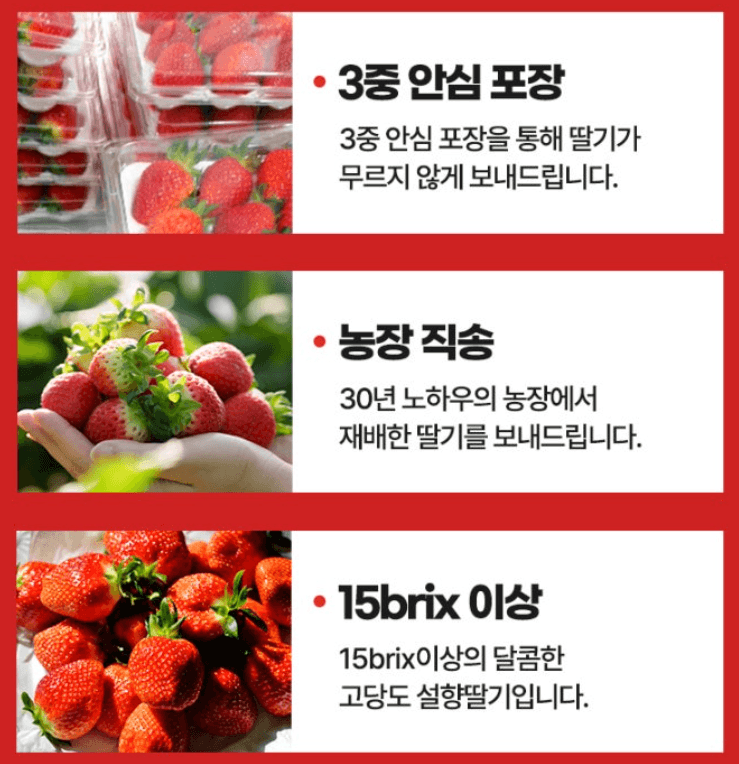 스피드번님의 장터 판매 상품 [설향딸기] 첨부 사진