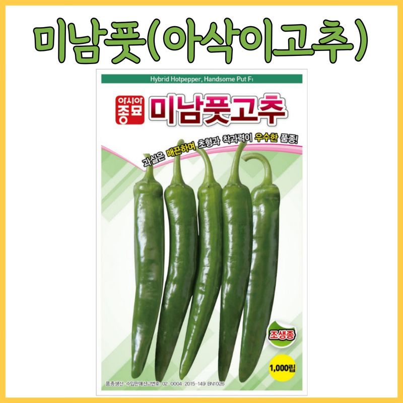 장터 상품 [아삭이고추 미남풋고추 1000립] 썸네일