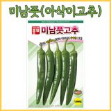 팜모닝 · 게시글 이미지