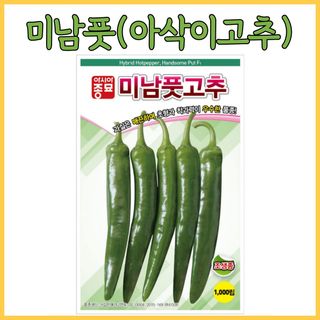 씨앗드림님의 작성글 사진