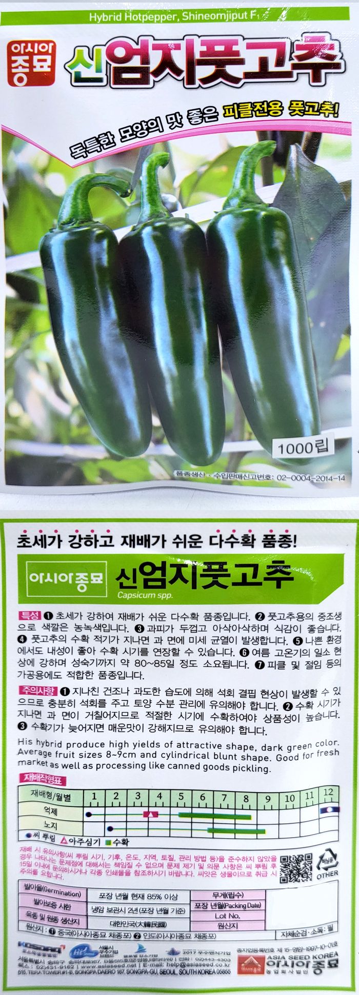 씨앗드림님의 장터 판매 상품 [피클고추 신엄지풋 100립 1000립] 첨부 사진