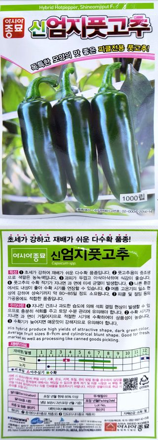 씨앗드림님의 작성글 사진