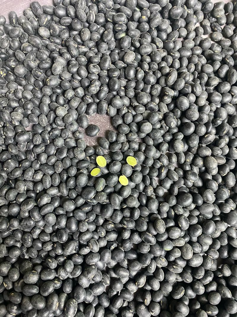 장터 상품 [서리태] 썸네일