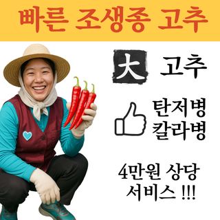 씨앗드림님의 작성글 사진
