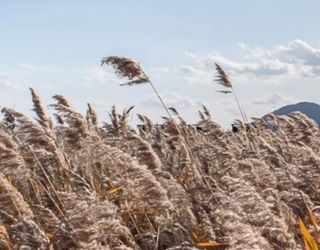 하은와송~♡♡♡~님의 자유주제 · 자유게시판 작성글 사진