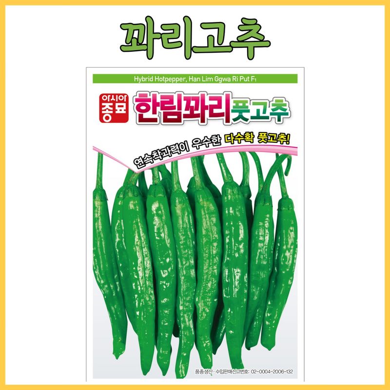 장터 상품 [꽈리고추 700립 1200립] 썸네일