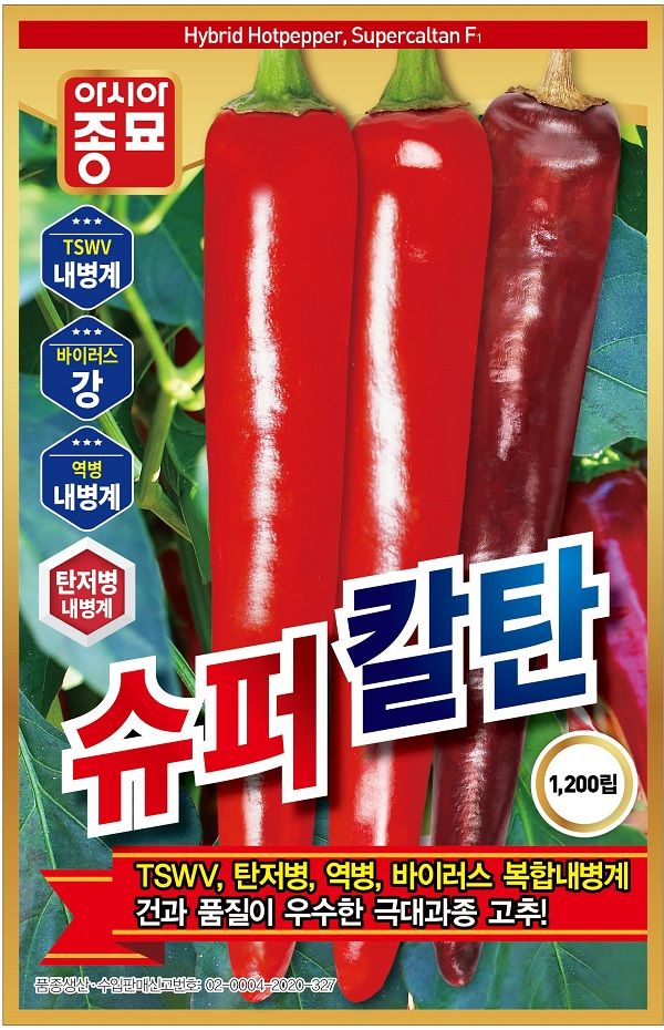 씨앗드림님의 장터 판매 상품 [연속착과력 우수한 중생종 고추 1200립] 첨부 사진