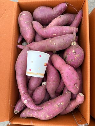 이영민님의 작성글 사진