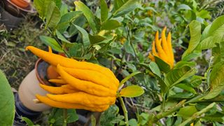 이동순님의 자유주제 · 자유게시판 작성글 사진